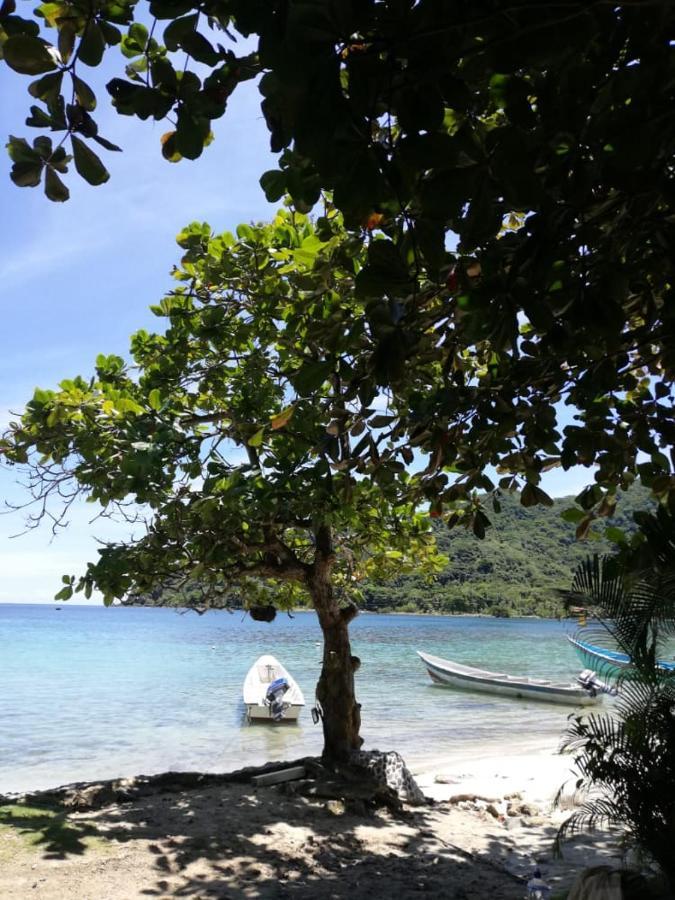 Hostal Hilltop Sapzurro Bagian luar foto